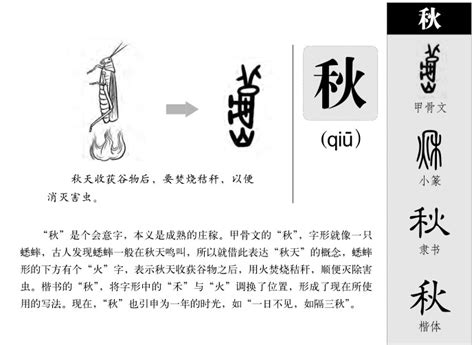 秋字五行|秋的解释